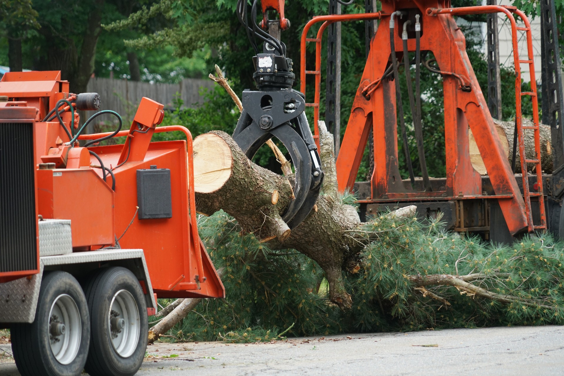 removed tree trunk by crane in residential area