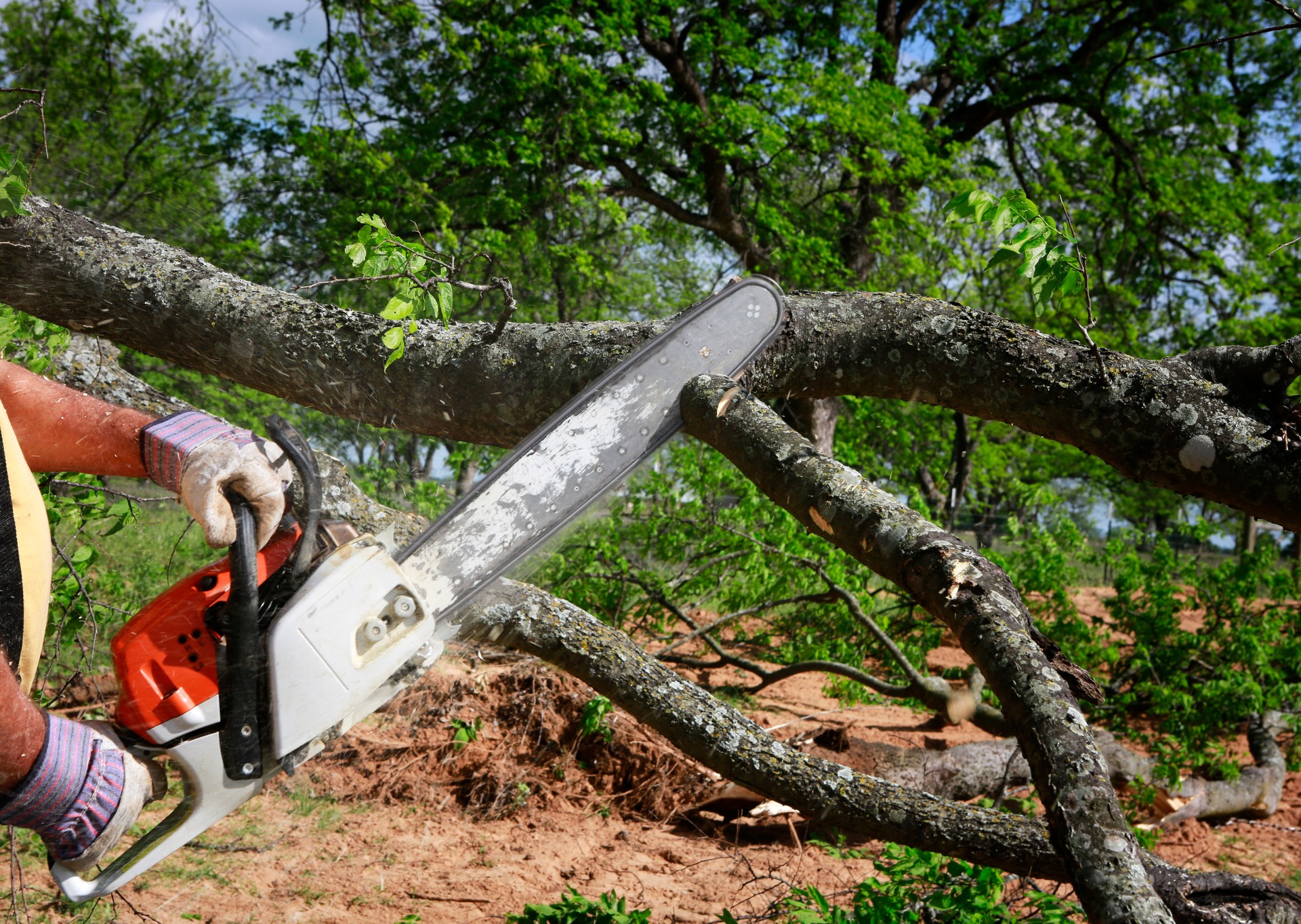 Chainsaw